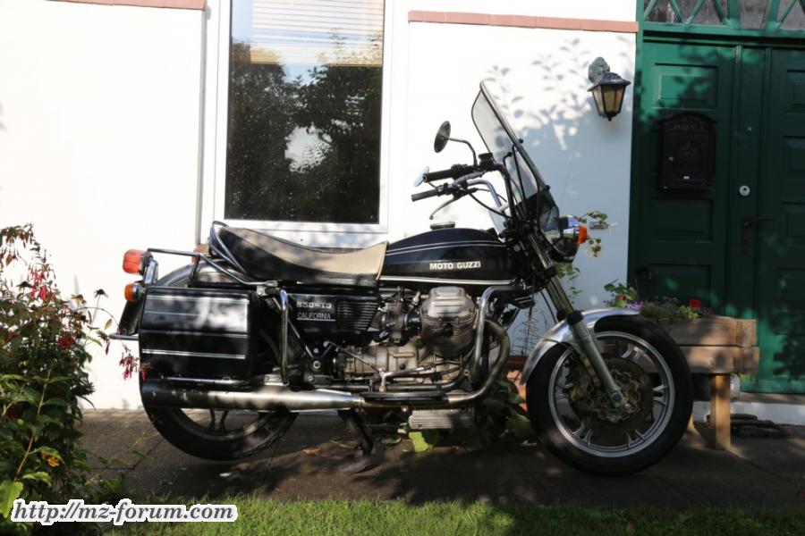 Guzzi