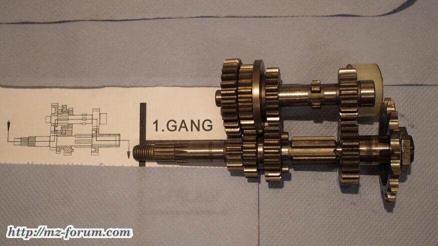 Gang1