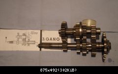 Gang3