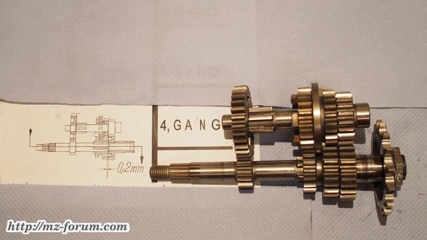 Gang4