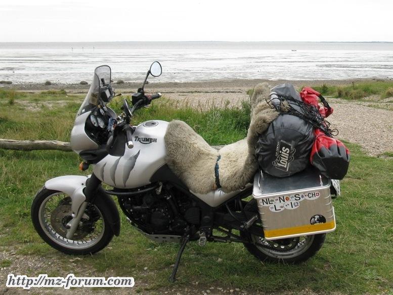 Triumph Tiger 955i