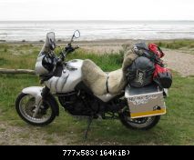 Triumph Tiger 955i