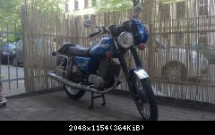 mz magdeburg