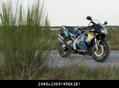 Suzuki RGV Bj. 1992