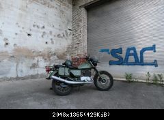IMG 0331