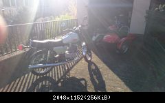 DSC 1024