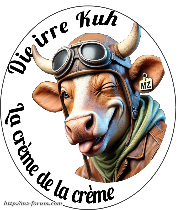 Die irre Kuh 1