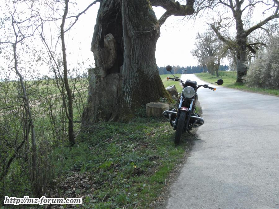 Meine neue BMW!