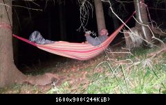IMG-20160817-WA0020