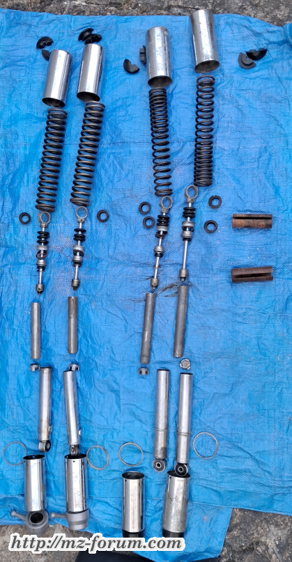 Federbeine 1