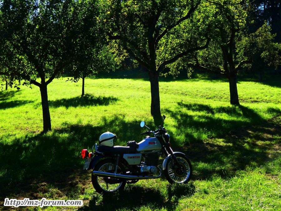 ETZ 250 auf der Streuobstwiese bei Reihen / Baden