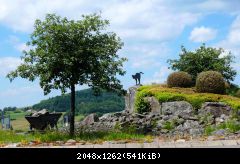P1130049R