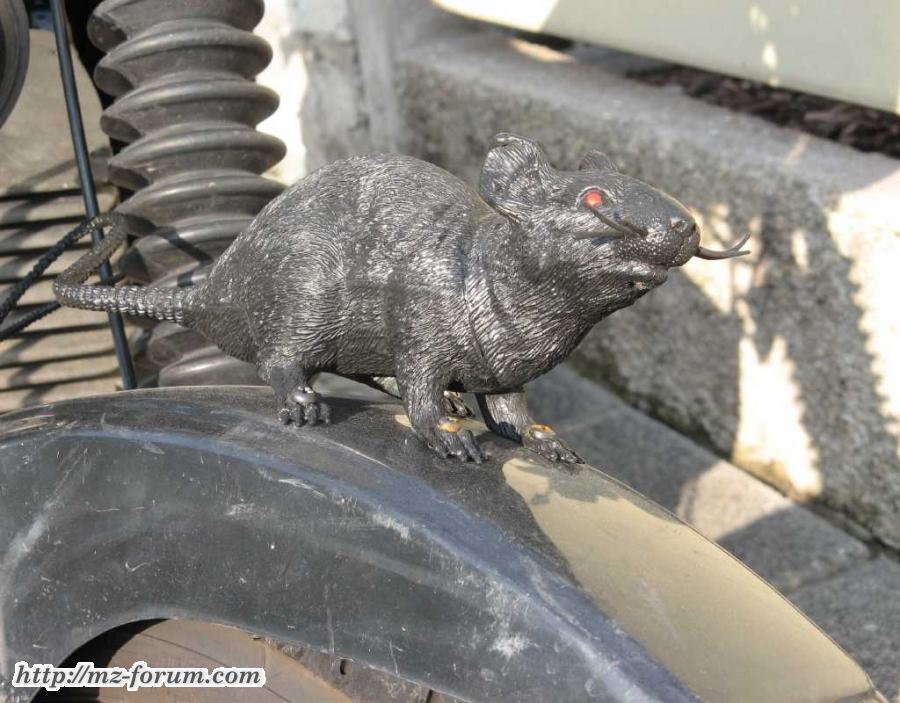 Kanuni-Ratte