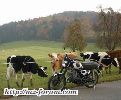 altes Thema, neues Bild