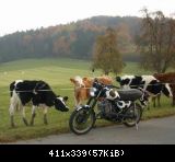 altes Thema, neues Bild