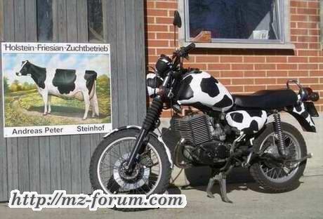 Stammbaum ist wichtig!