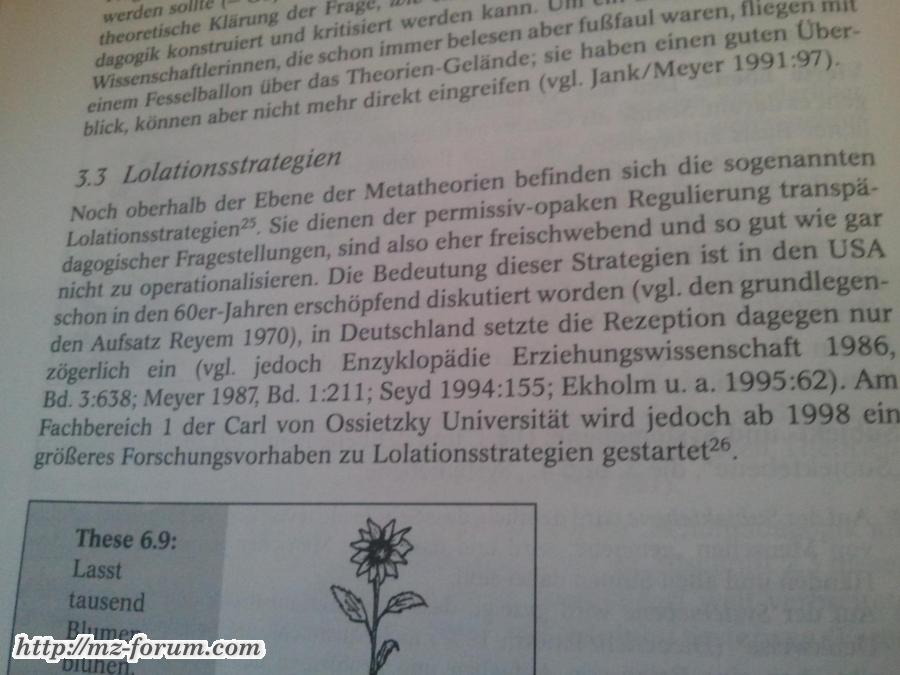 Lolationsstrategien