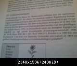 Lolationsstrategien