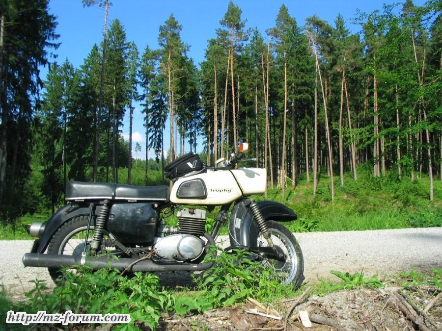 ES 250/2 im Wald