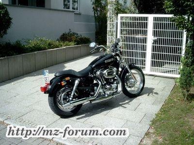 HD-Sportster 1200 Low Baujahr 2006