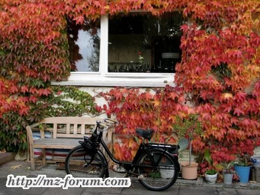 Solex Mein 0,7 PS Bolide