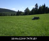 TS in Thüringen/bei Oberhof