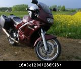 DSCF0007-49