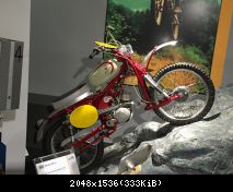 IMG 3329