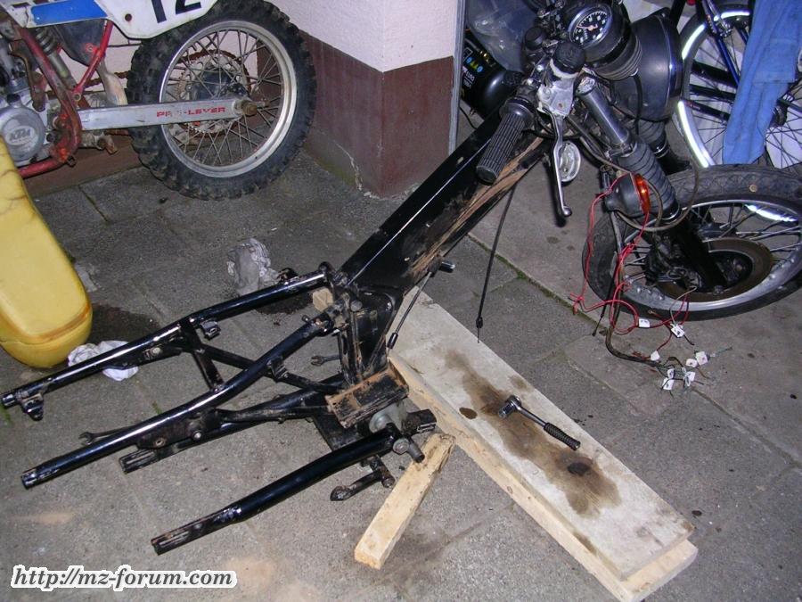 03/2009  sieht schon ziemlich kahl aus ...