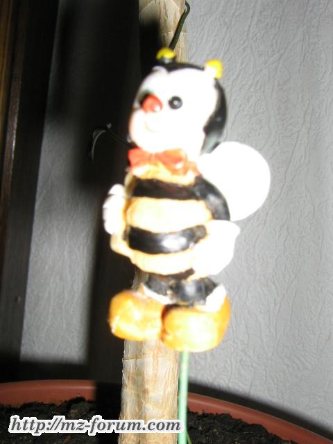 Lu's Biene