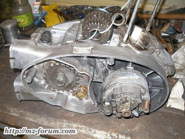 Lorchen: So sah er aus, gereinigt und gelüftet, als er zu mir kam.