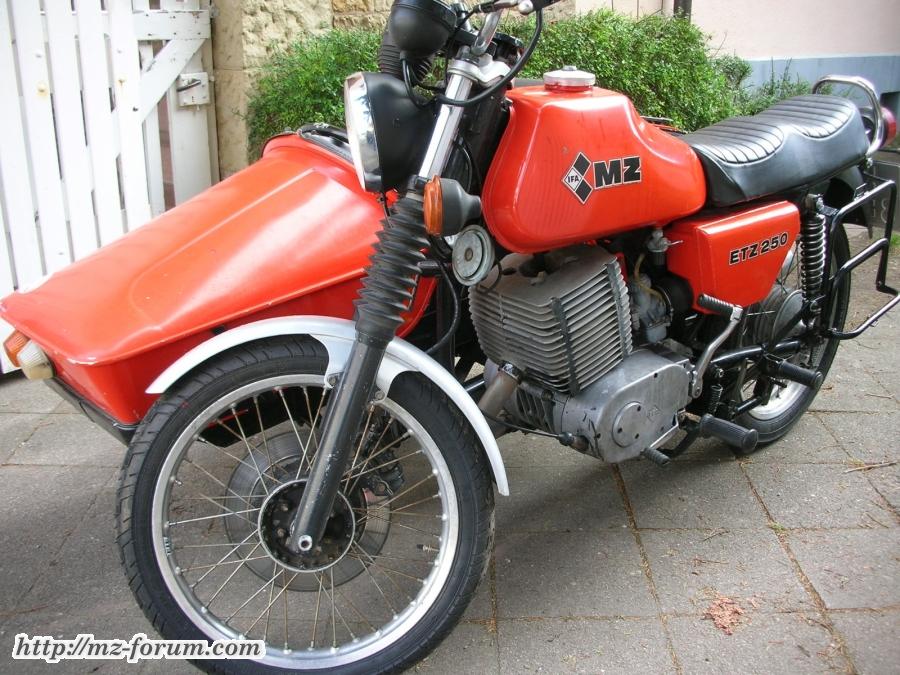Fridolin