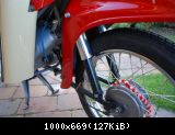 Schwalbe (8)1