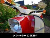 Schwalbe (9)