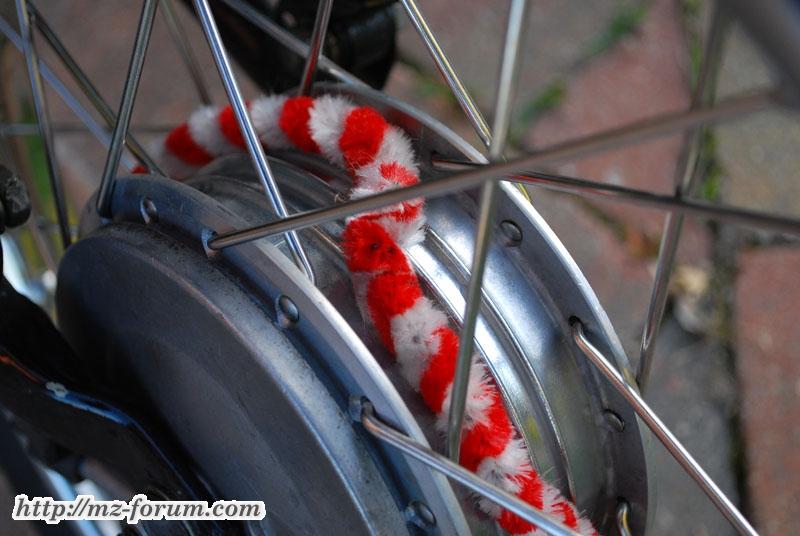 Schwalbe (13)