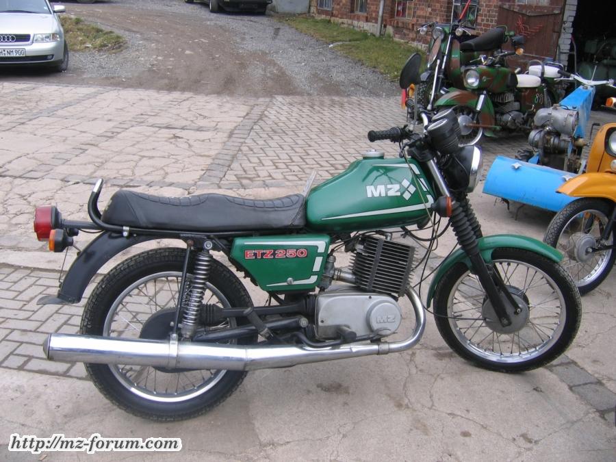Bild 482