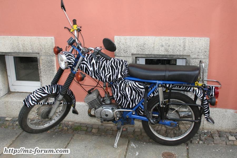 Zebra Simson