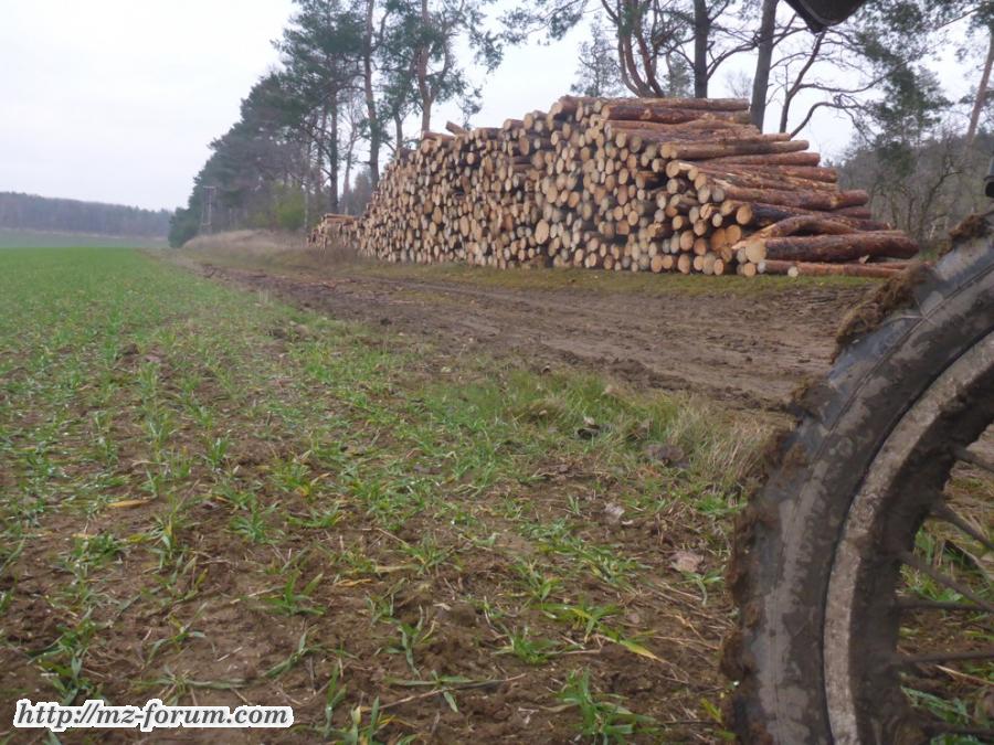 Auch ein Holzstapelbild