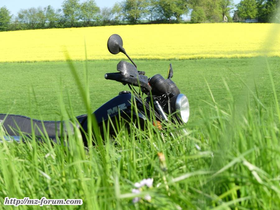 Schon wieder gelb