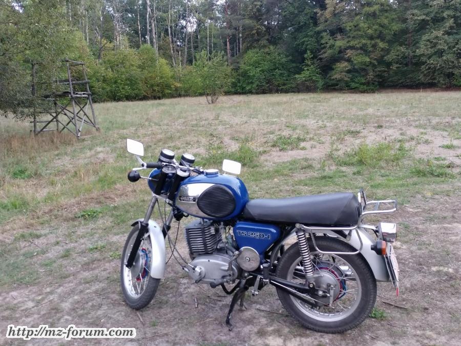 TS 250/1 Neckermann 1981, erst 19110 km, Stillgelegt 12/1985