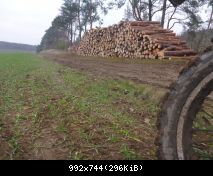 Auch ein Holzstapelbild