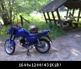 MZ ETZ 125 Saxon Sportstar