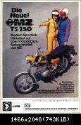 ts250gelb